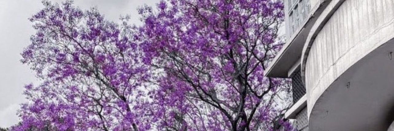 OOjj3_'s profile banner image
