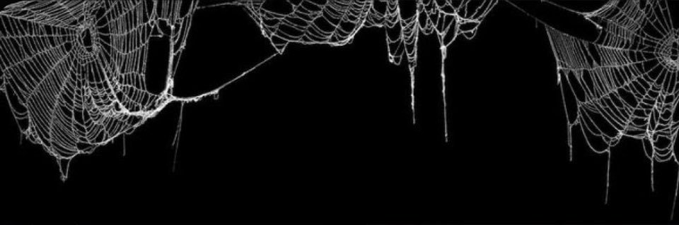 Maya D🕷️ banner