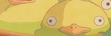 npbfags's profile banner image