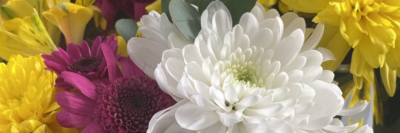 Selee002's profile banner image