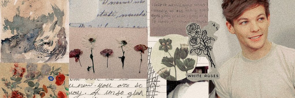 rosesforseb's profile banner image