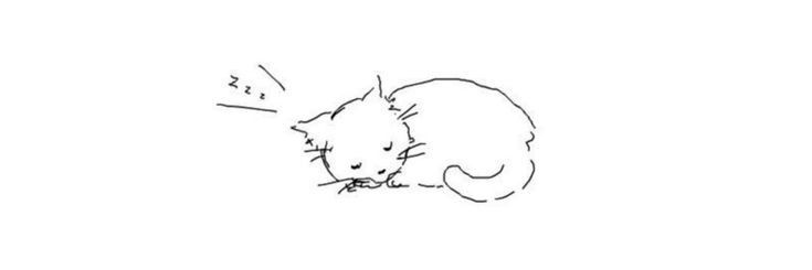 stlenlullabies's profile banner image