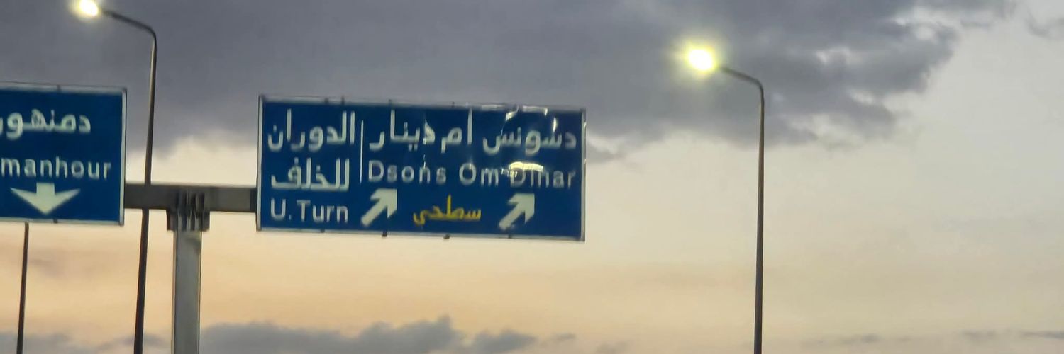 nadyfakhry's profile banner image