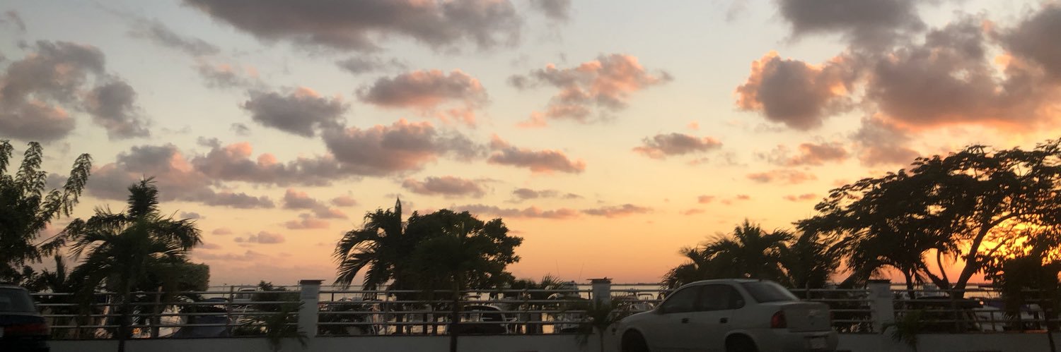 mauickowicz77's profile banner image