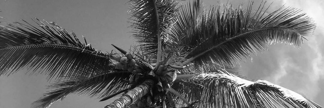 𝑺𝒕𝒆𝒑𝒉𝒂𝒏𝒊𝒆.𝑳𝒌𝒕𝒍 banner