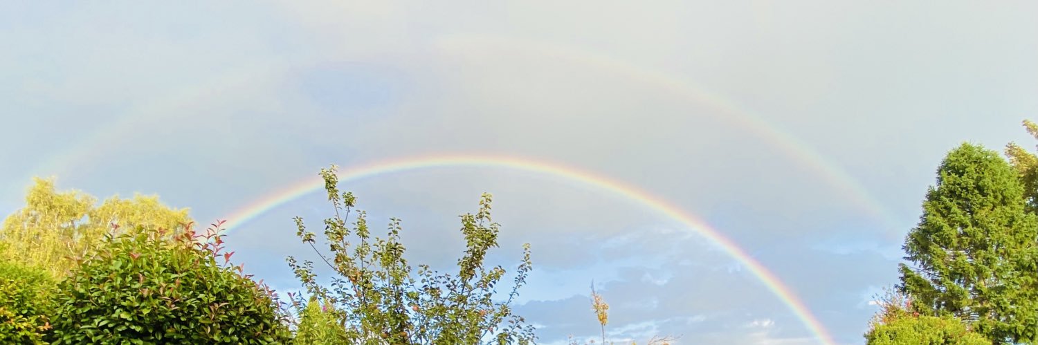 ali_emx's profile banner image