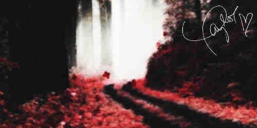 taythatyoulike's profile banner image