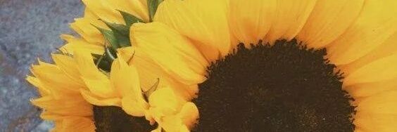 AdriixAzm's profile banner image