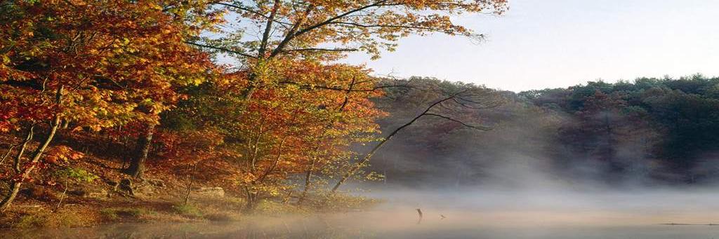windpublessbla1's profile banner image