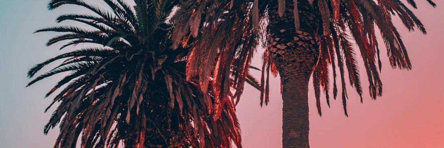 connorpearson32's profile banner image