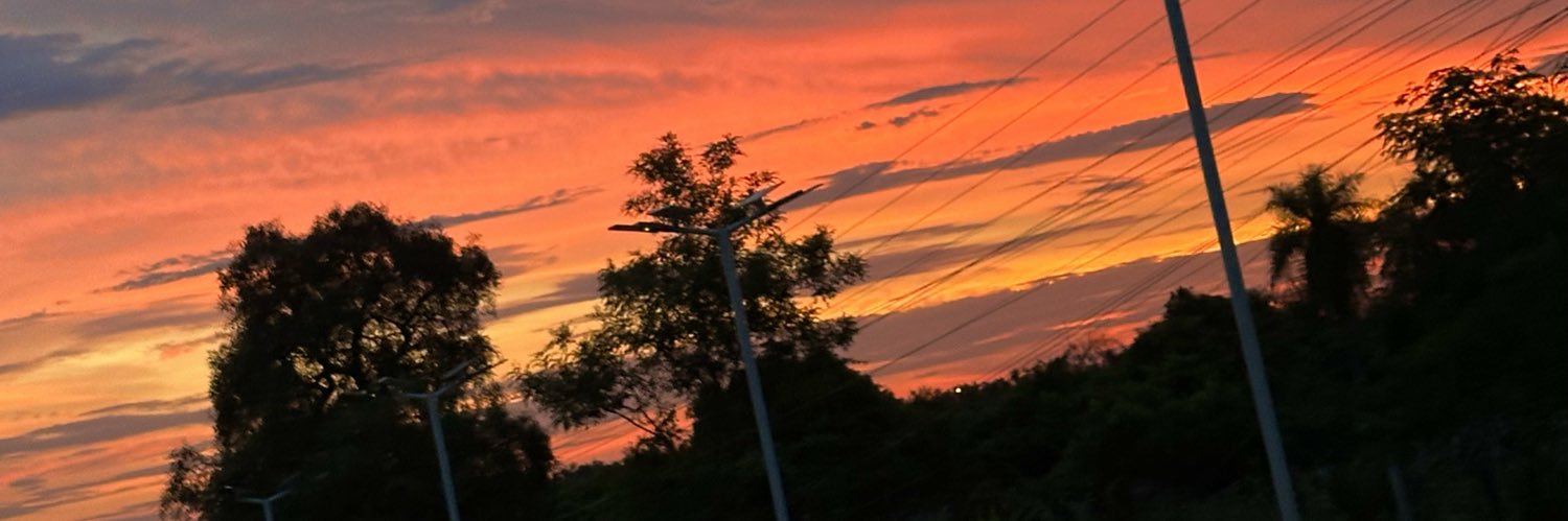aidatorres_'s profile banner image
