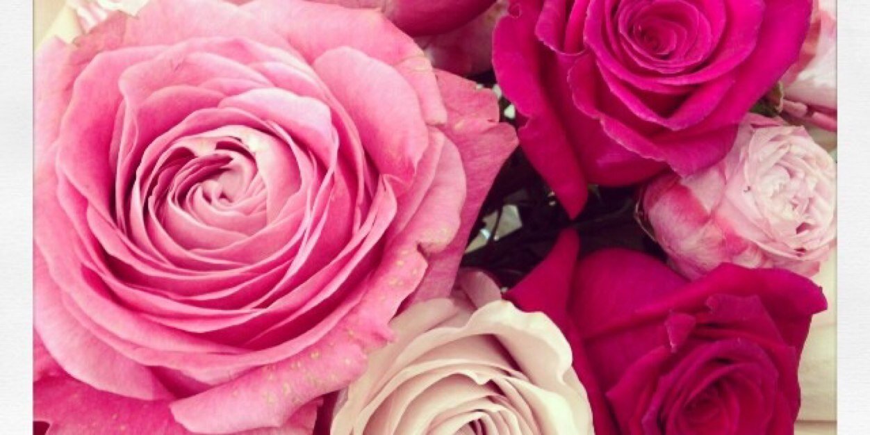 daniellexbush's profile banner image