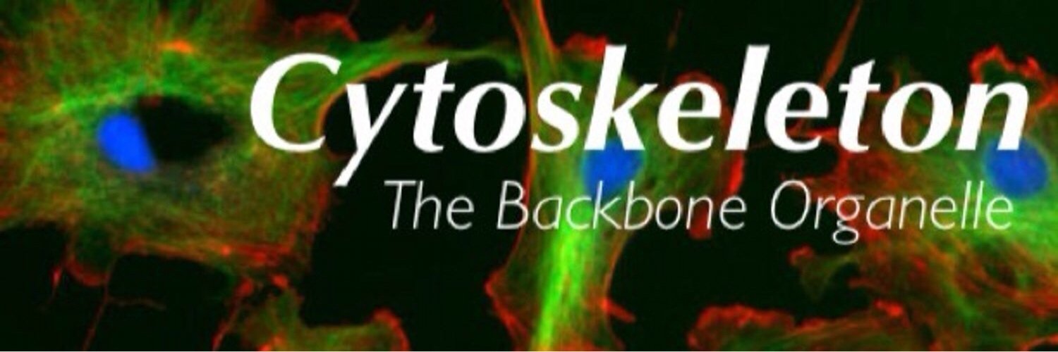 ogcytoskeleton's profile banner image