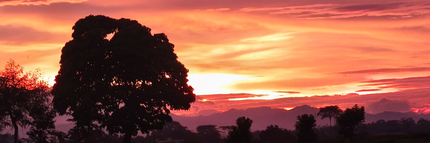 fiankidd's profile banner image