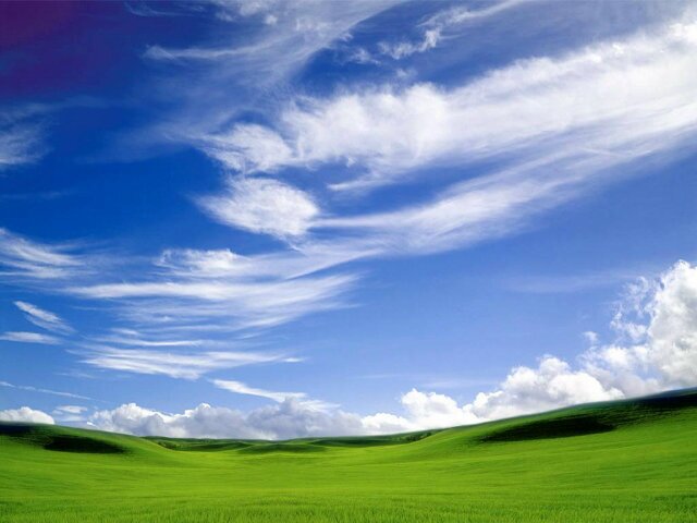 widyaoktaviaa's profile banner image