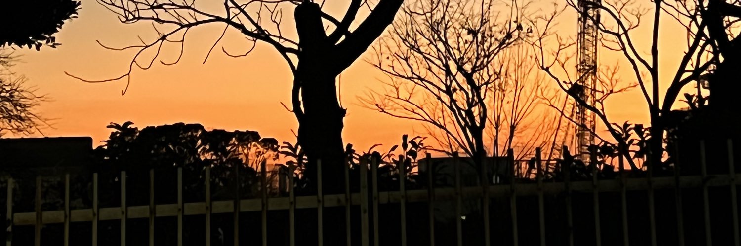jinfloating's profile banner image