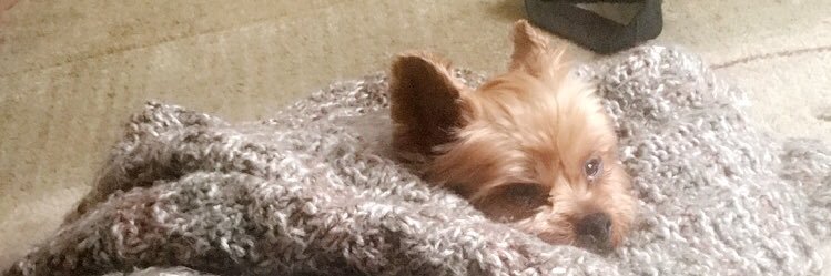 lyss123456's profile banner image