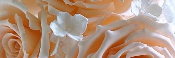 mursideyaman's profile banner image