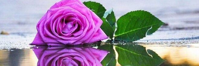 ree7al42's profile banner image