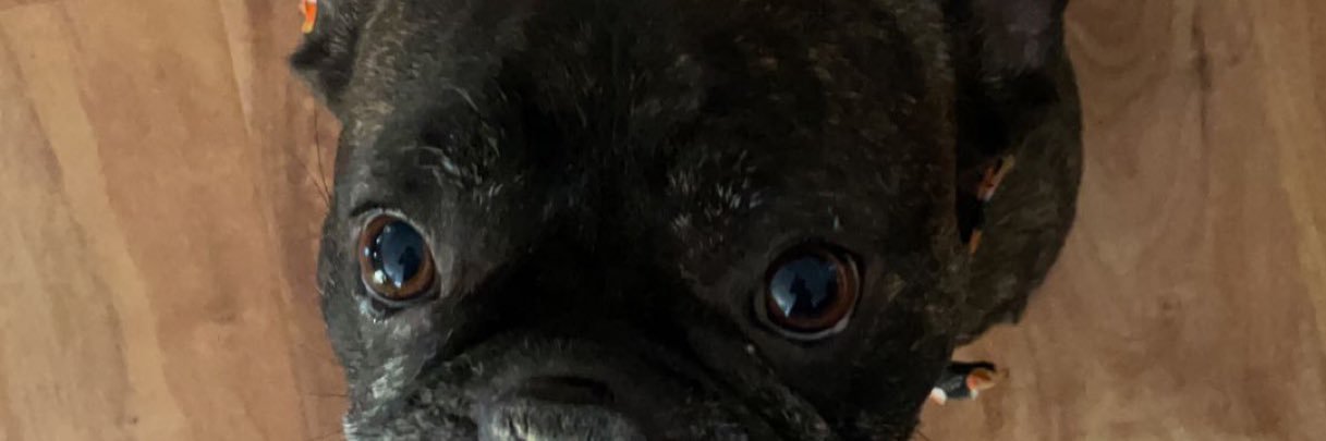 connorritt's profile banner image
