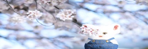 ImpishCrone's profile banner image
