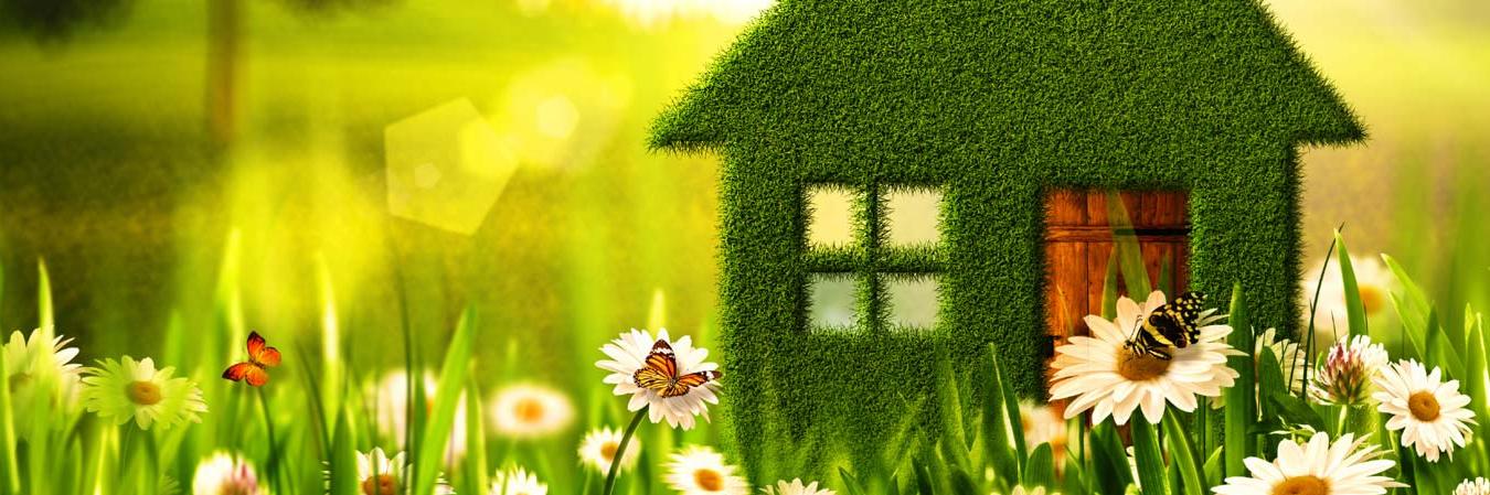 DanNovakHomes's profile banner image