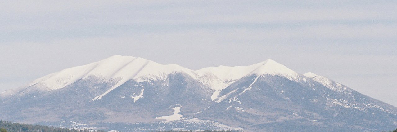 mauvaismurder's profile banner image