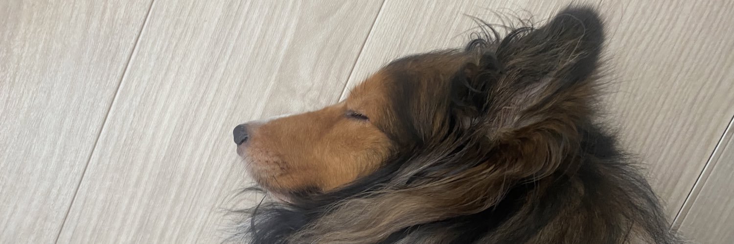 nXm430's profile banner image