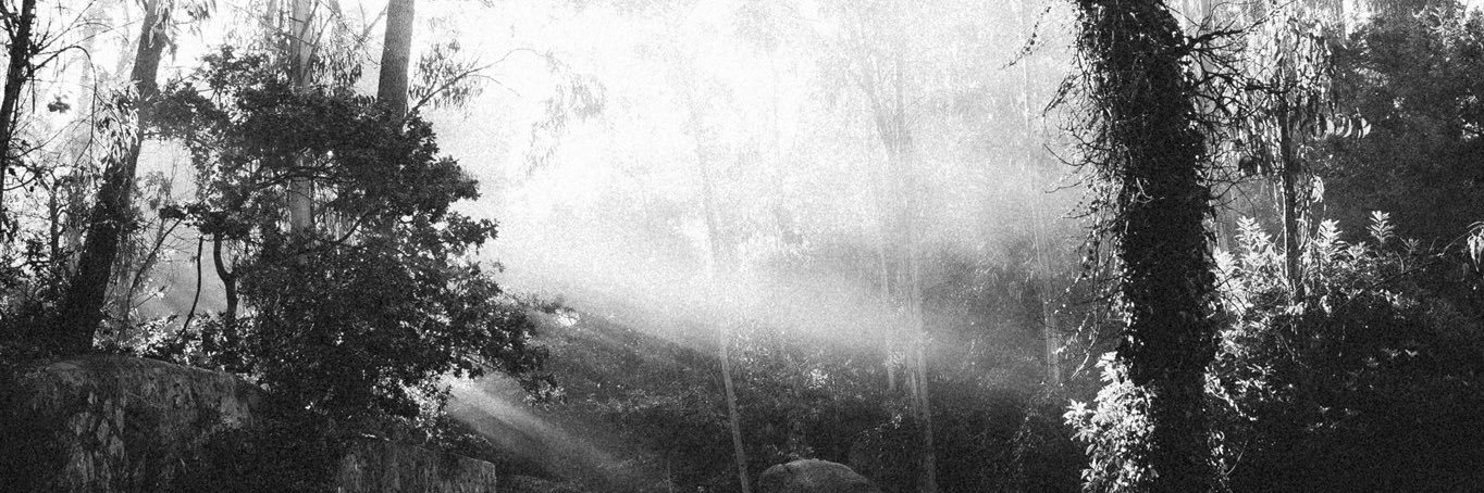 Raquel__Pinto's profile banner image