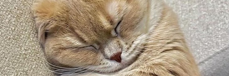 aslovedg's profile banner image
