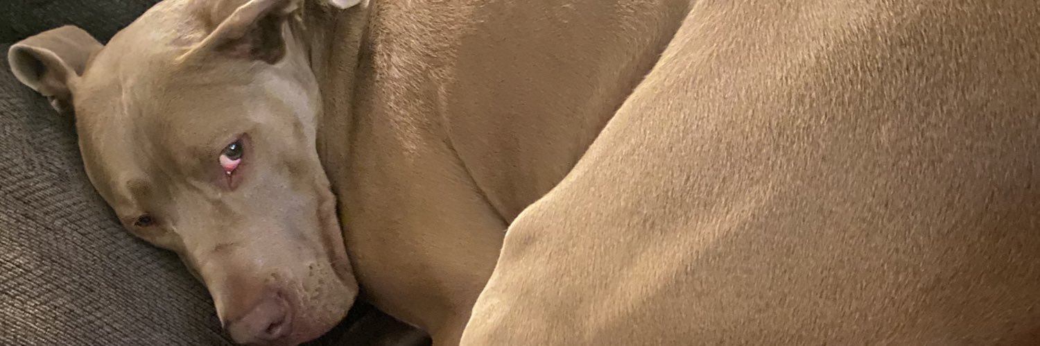 SSSLEXXX's profile banner image