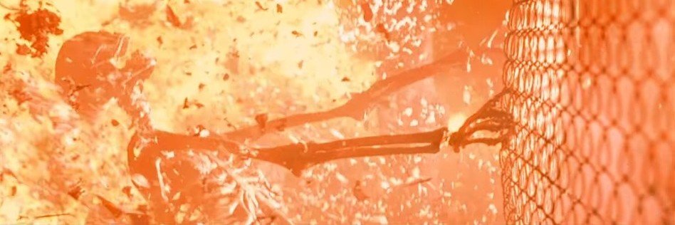 teIIus's profile banner image