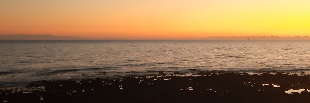 Jon Peña banner