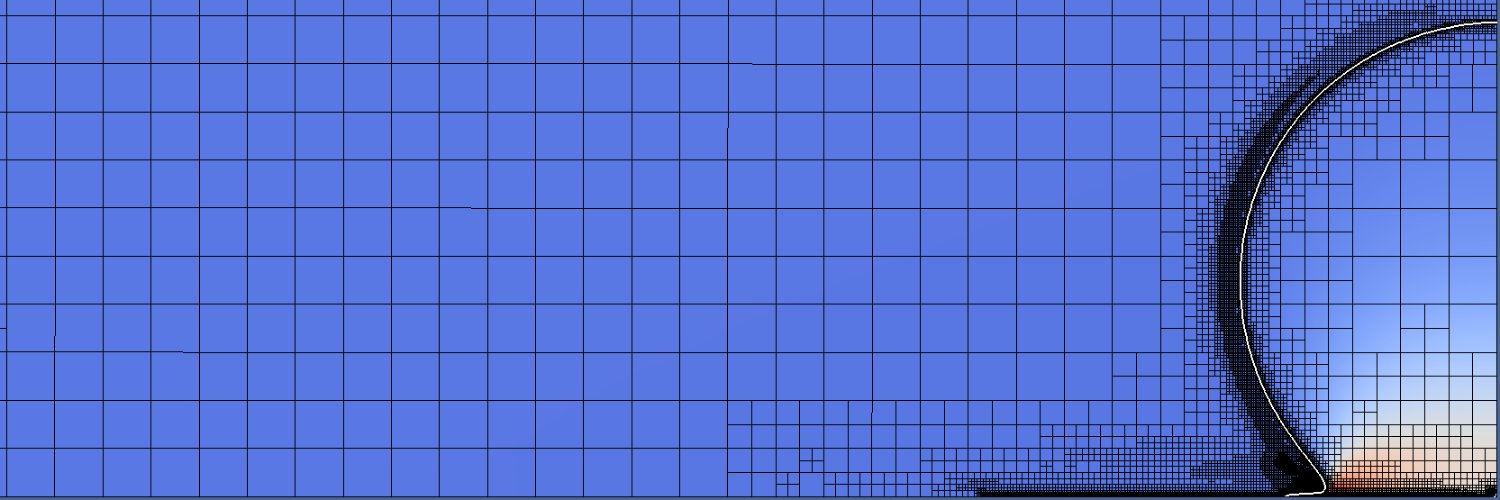 Michael Negus banner