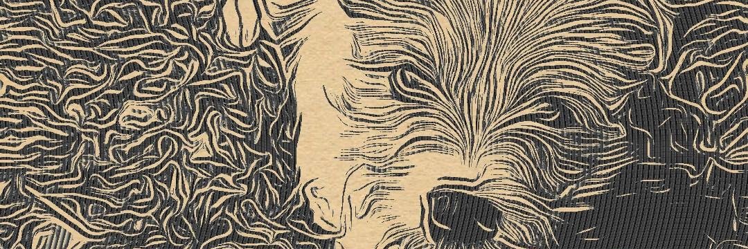 gurcan arslanturk banner