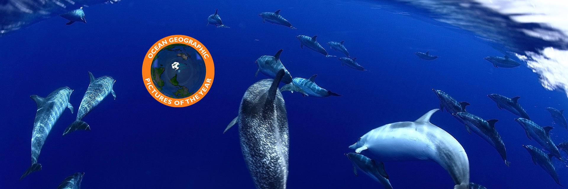 OceanGeographic banner