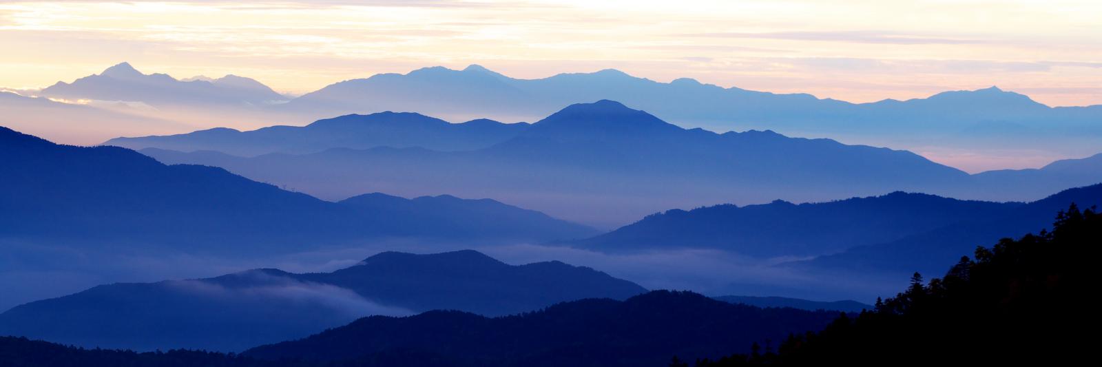 ねこ缶（焼きカツオ風味） banner