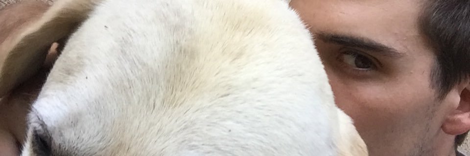 diegenise's profile banner image