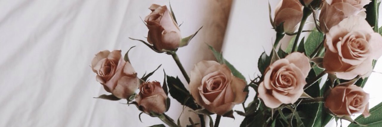 shayla_setzer's profile banner image