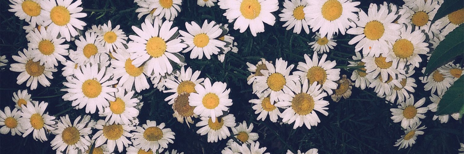 HanceCaroline's profile banner image