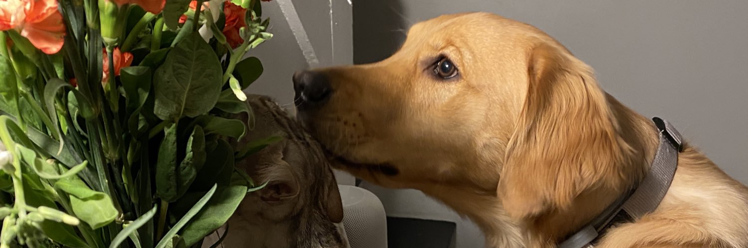 F_Jones3's profile banner image