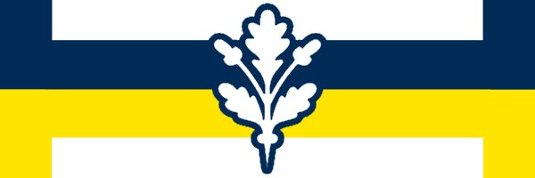 sayinut's profile banner image