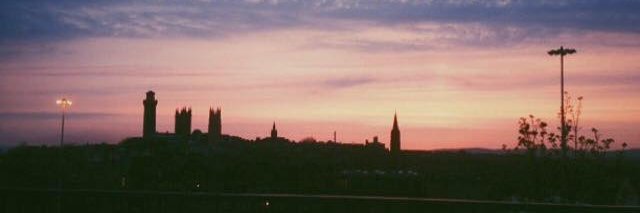 meadow_pipit's profile banner image