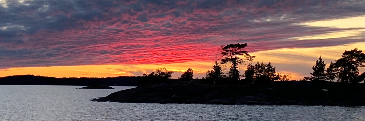 Lasse Mäkelä banner