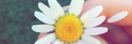 Mish_Shell3's profile banner image