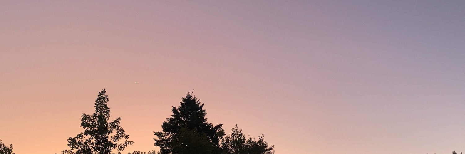 heapsali1's profile banner image