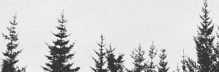 siqere banner