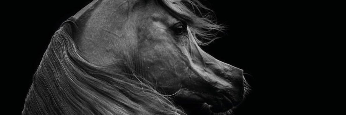 i_ALQRM's profile banner image