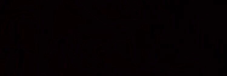 Priya Virk ♚ banner