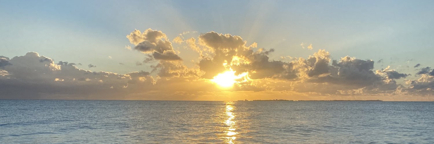 lmvcalanni's profile banner image